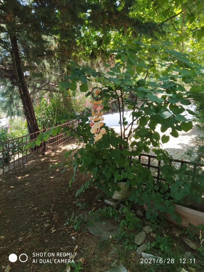 Country Art Studio Alkyoni Apartment Kokkino Nero Exterior photo